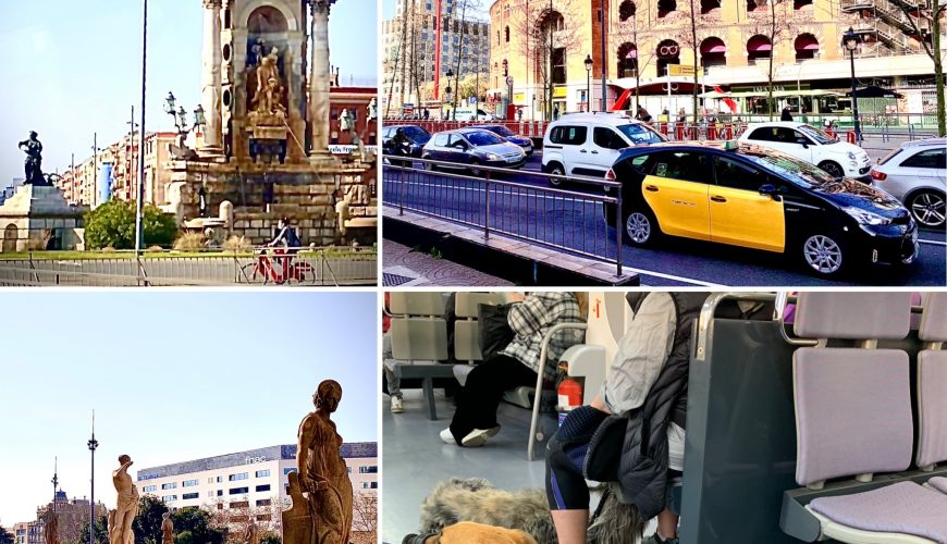 Экскурсионное агентство Seolla Travel